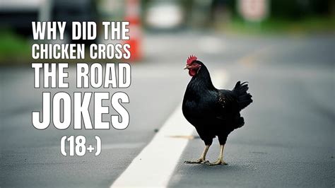 40 Darkish “Why Did The Hen Cross The Street?" Jokes - OJJOReviews