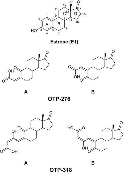 Molecular structure of estrone (E1) showing the standard C atom ...