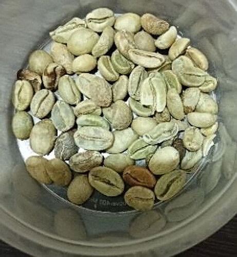 Common Arabica Green Coffee Beans at Best Price in Dindigul | Delta ...