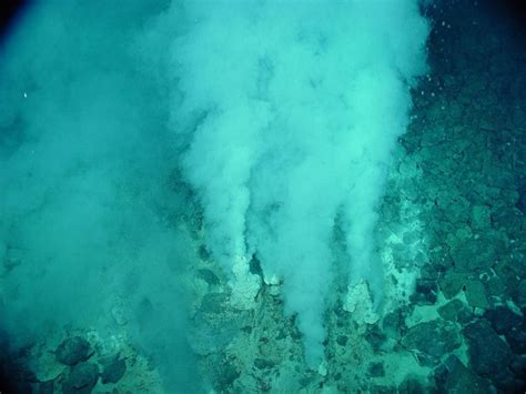 Hydrothermal Vents - Discovering Galapagos