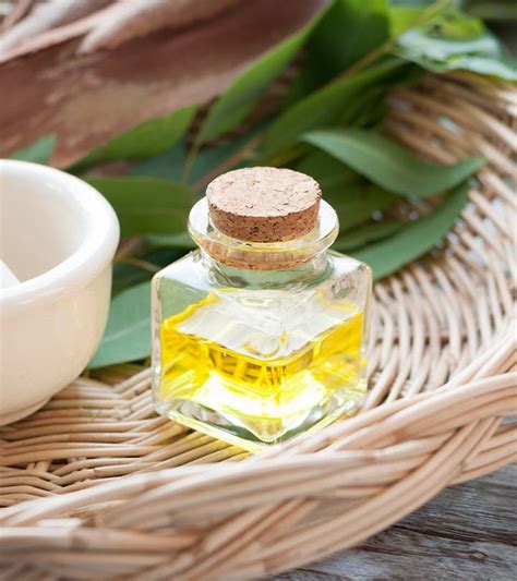 23 Amazing Benefits Of Eucalyptus Oil For Skin, Hair & Health