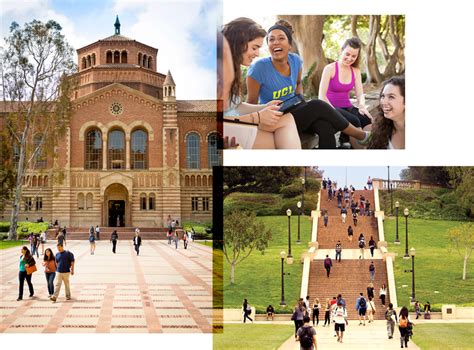 Exploring Campus Life at UCLA | UCLA