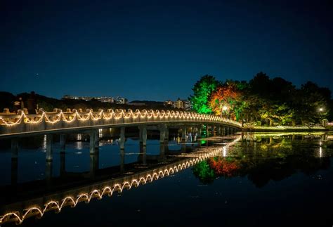 Ohori Park | Kyushu Tourism Organization | Visit Kyushu