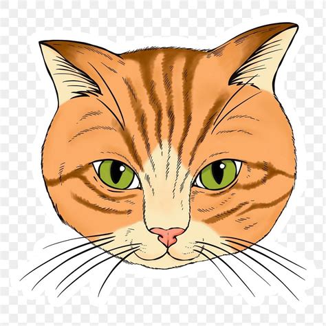 Orange Cat Face Clipart