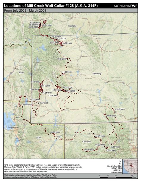 Wildlife Migration And Movement In Montana | Montana FWP