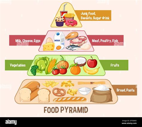 Daily Nutritional Guide Pyramid Food Pyramid Food Pyram – NBKomputer