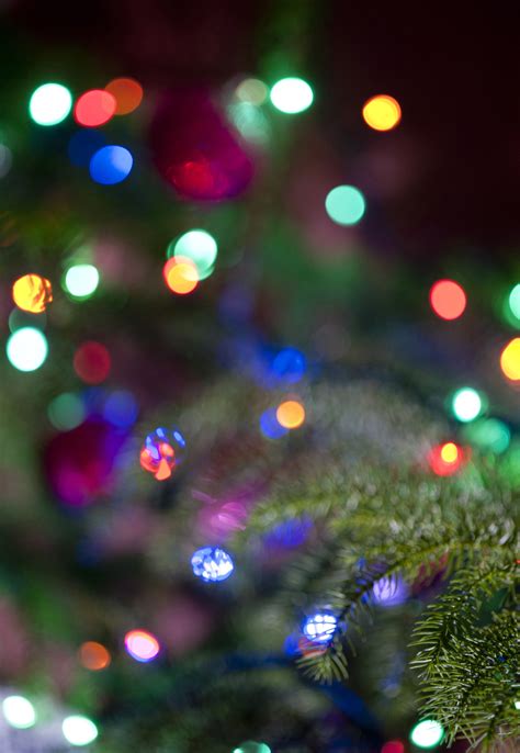 Image of Christmas lights background bokeh | Freebie.Photography