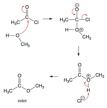 Draw the mechanism of esterification using acid chloride and alcohol. | Homework.Study.com