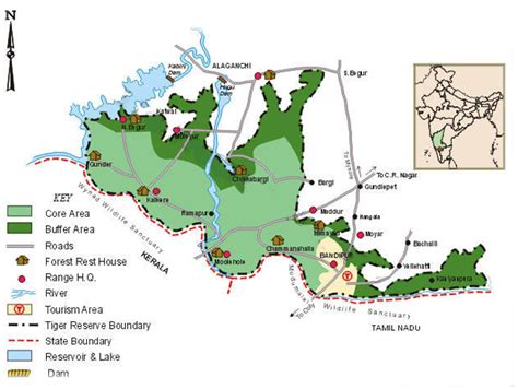 Bandipur Tiger Reserve – Into The Wild