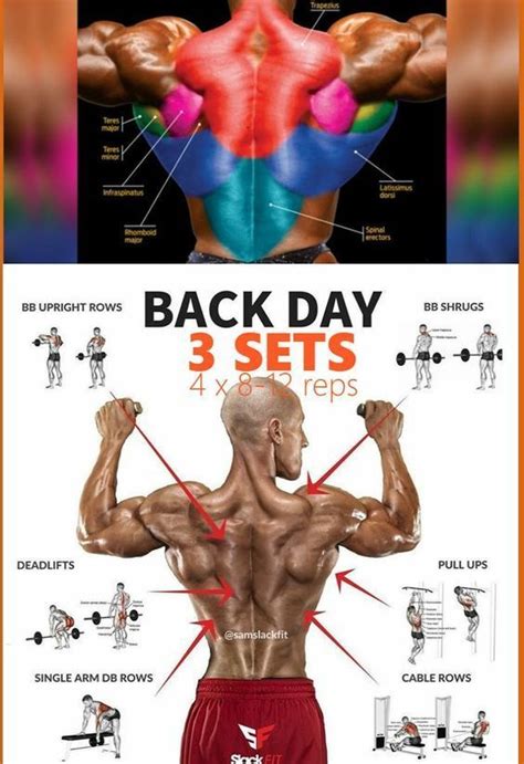 Build An Incredible Back With This 30 Minute Workout. 6 Best Back Workout and Exercises for ...