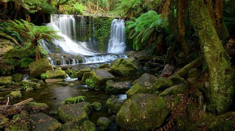 Mount Field National Park Tours - Book Now | Expedia