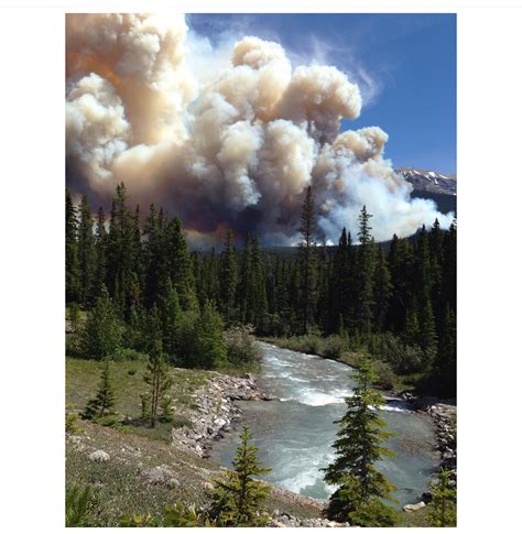 In the summer of 2014 a massive wildfire took over Banff National Park. I live in the park and ...