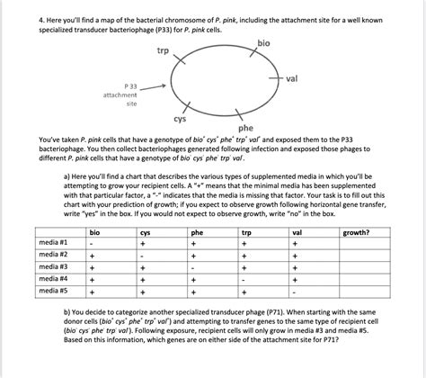 Solved Here you’ll find a map of the bacteria chromosome of | Chegg.com