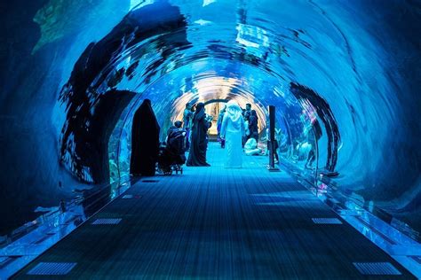 The Dubai Aquarium - The Travel Love