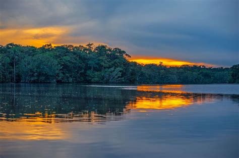 Yasuni National Park is one of the Most Biodiverse Places on the Planet