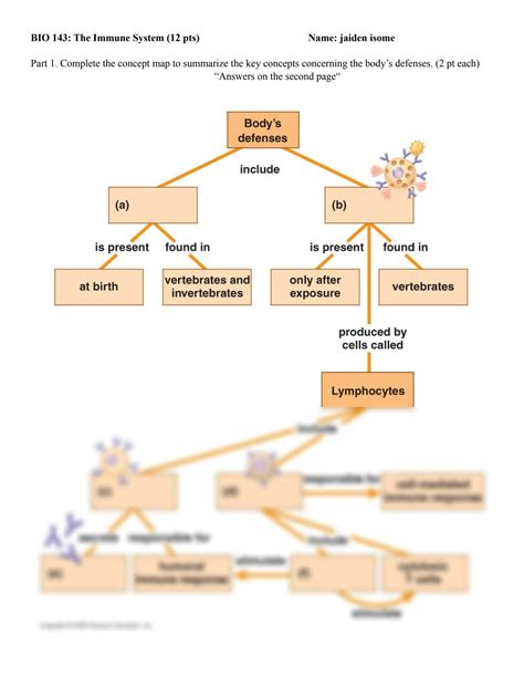 SOLUTION: Immune system concept map - Studypool