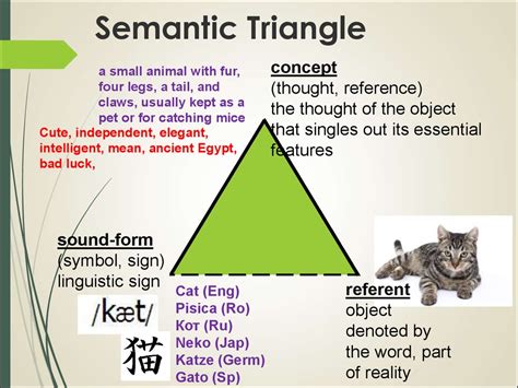 English lexicology - online presentation