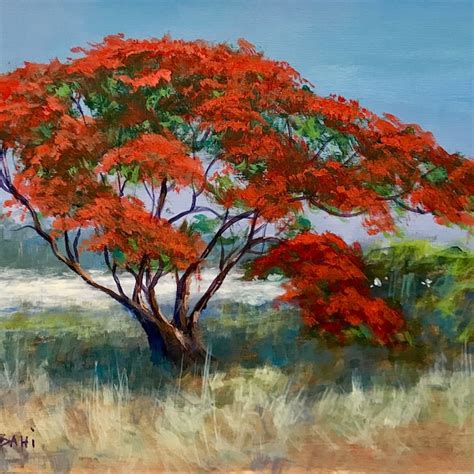 Royal Poinciana Tree - Etsy