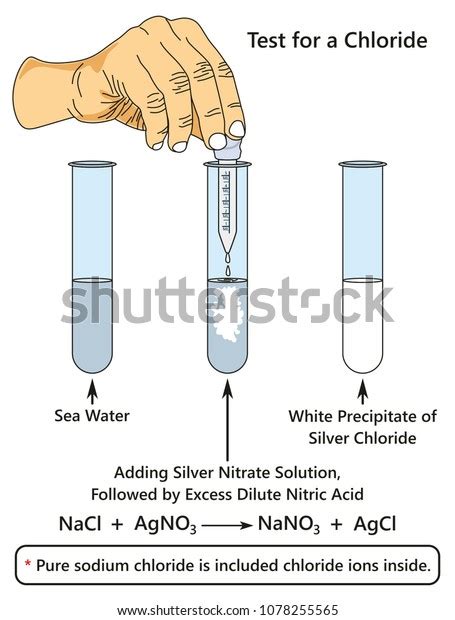 3 Reaction Silver Nitrate Solution Sodium Chloride Solution Images, Stock Photos & Vectors ...