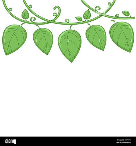 Illustration of a Vine Border with Vines and Leaves Stock Photo - Alamy