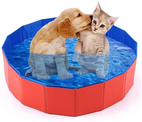 Collapsible Kiddie Pool Hard Plastic Dog Pool - 32" Ball Pit for Kids ...