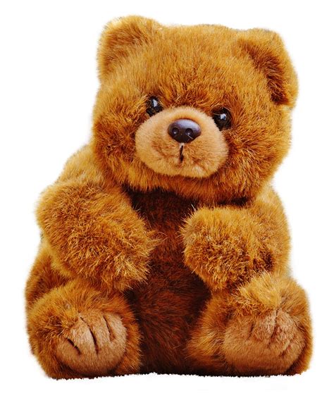 Teddy Bear PNG HD Transparent Teddy Bear HD.PNG Images. | PlusPNG