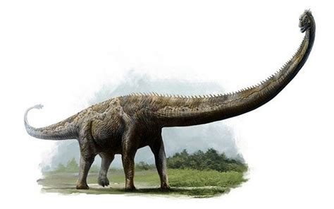 Dinosaurs with the longest necks – Mamenchisaurus | DinoAnimals.com