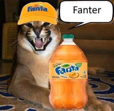 Fanter | Big Floppa | Know Your Meme