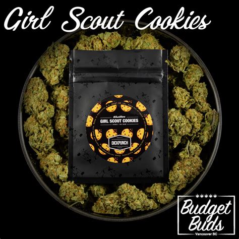 Girl Scout Cookies | 1g | Hybrid | Budget Buds