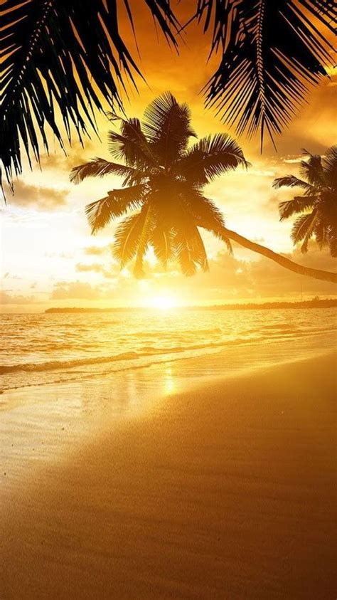 Beach Sunset Live Wallpaper - Android Apps on Google Play ...