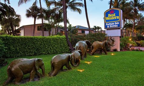 Best Western Naples Inn & Suites in - Naples, FL | Groupon Getaways