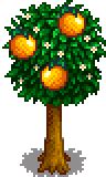 오렌지나무 - Stardew Valley Wiki