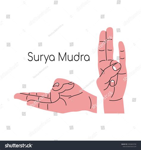 Surya Mudra Agni Mudra Yoga Hand Stock Vector (Royalty Free) 1855893790 | Shutterstock