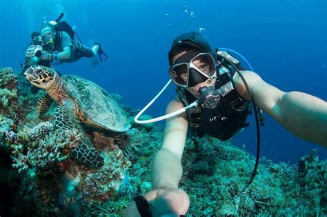 Apo Reef Natural Park – Sablayan