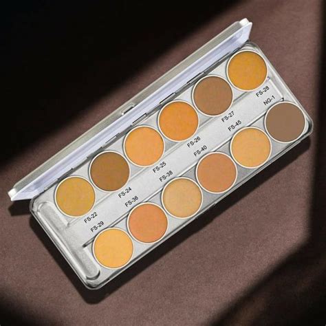 KRYOLAN SupraColor Foundation Palette 12 Color ( Delhi 1 ) Foundation - JioMart