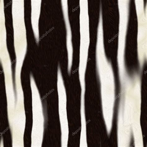 Zebra Skin Pattern — Stock Photo © ArenaCreative #8806855