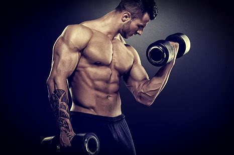 5120x2880px | free download | HD wallpaper: two black dumbbells, muscle, man, gym, bodybuilder ...