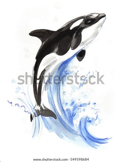 Jumping Orca Stock Illustration 549598684