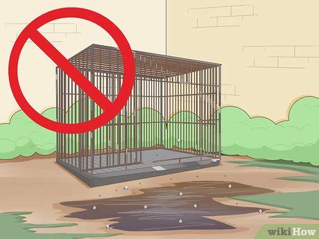 3 Ways to Prevent Worms in Dogs - wikiHow Pet