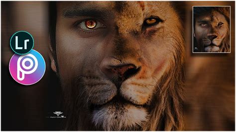 Half Man Half Lion