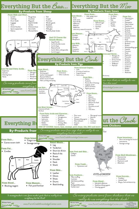 Animal By-Products Lessons! | Raising farm animals, Homesteading animals, Animal science