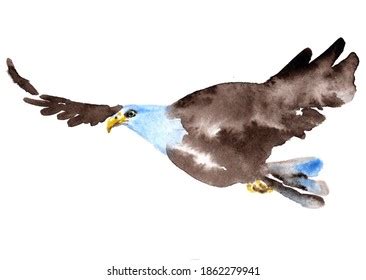 Watercolor Bald Eagle Painting Illustration Stock Illustration 1862279941