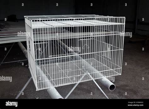 white bird cage Stock Photo - Alamy