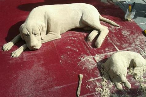 Sand dog sculptures: are they real works of street art or just another ...