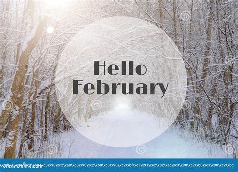 Banner Hello February . Winter Landscape . Snow and Snow Trees. Nature. Snow Picture. Photo with ...