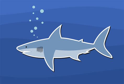 Shark Design Fish - Free vector graphic on Pixabay