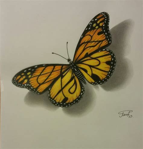 3D Butterfly, Drawing by commission in prismacolor. (Check the name in ...