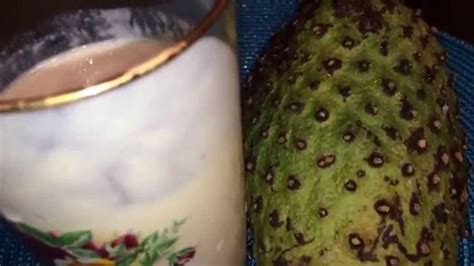 Soursop Juice (Corossol) the Haitian Way | New orleans recipes, Haitian food recipes, Mexican ...