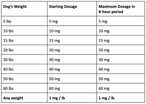 Treating Dog Anxiety with Benadryl: What You Need to Know – Scaredy Cut