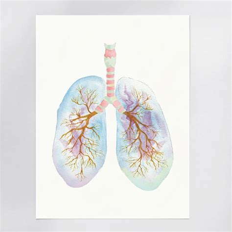 Human Lung Watercolor Print - The Forest Cloak | Lungs art, Biology art, Watercolor